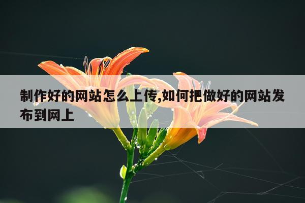 制作好的网站怎么上传,如何把做好的网站发布到网上