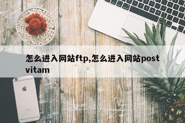 怎么进入网站ftp,怎么进入网站postvitam