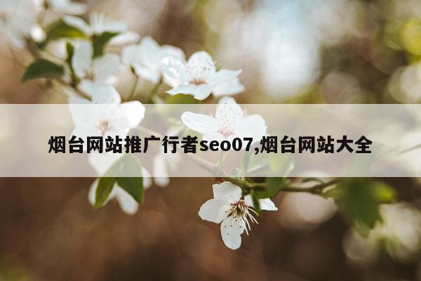 烟台网站推广行者seo07,烟台网站大全