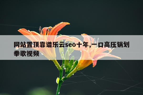 网站置顶靠谱乐云seo十年,一口高压锅划拳歌视频