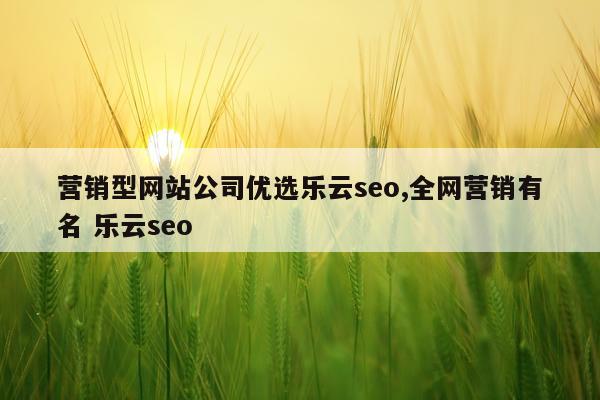 营销型网站公司优选乐云seo,全网营销有名 乐云seo