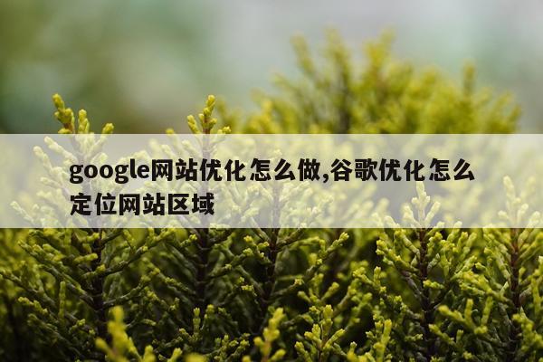 google网站优化怎么做,谷歌优化怎么定位网站区域