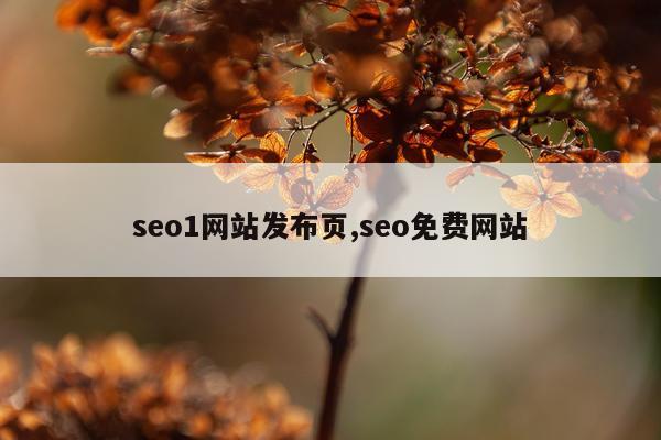 seo1网站发布页,seo免费网站