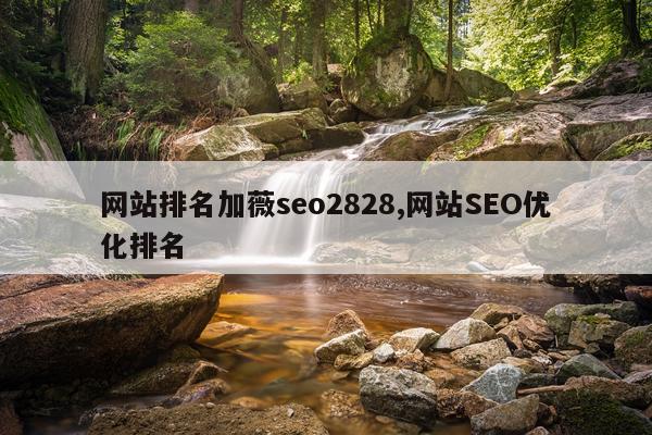 网站排名加薇seo2828,网站SEO优化排名