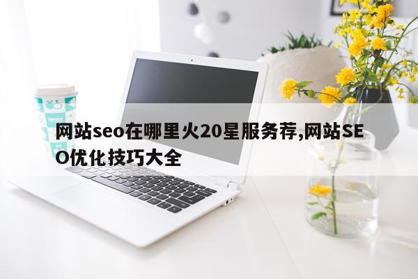 网站seo在哪里火20星服务荐,网站SEO优化技巧大全