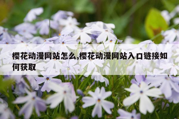 樱花动漫网站怎么,樱花动漫网站入口链接如何获取
