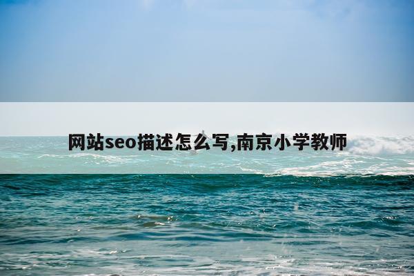 网站seo描述怎么写,南京小学教师