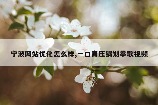 宁波网站优化怎么样,一口高压锅划拳歌视频