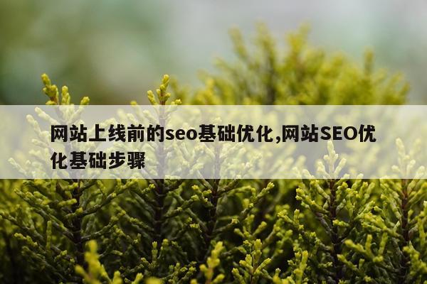 网站上线前的seo基础优化,网站SEO优化基础步骤