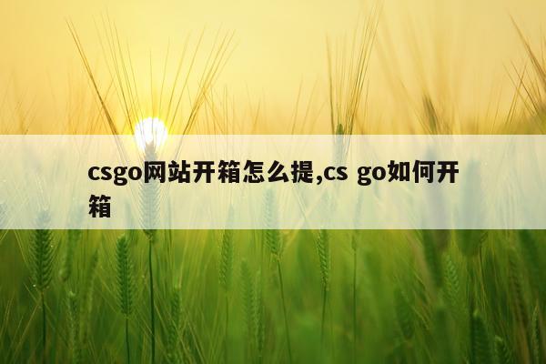 csgo网站开箱怎么提,cs go如何开箱