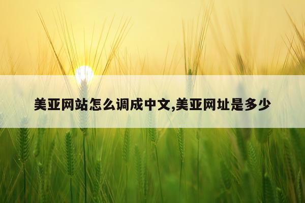 美亚网站怎么调成中文,美亚网址是多少