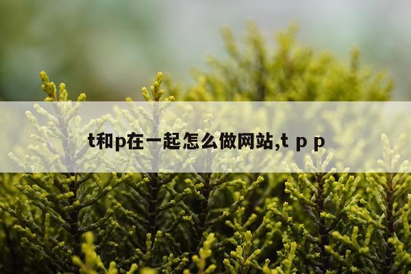 t和p在一起怎么做网站,t p p