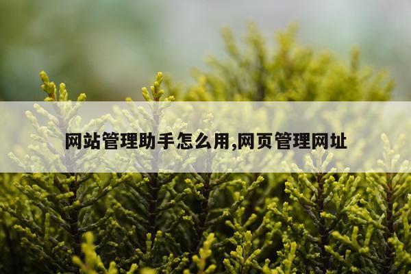 网站管理助手怎么用,网页管理网址