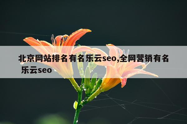 北京网站排名有名乐云seo,全网营销有名 乐云seo