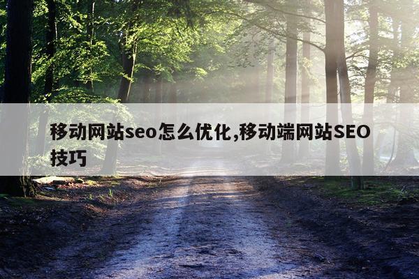移动网站seo怎么优化,移动端网站SEO技巧