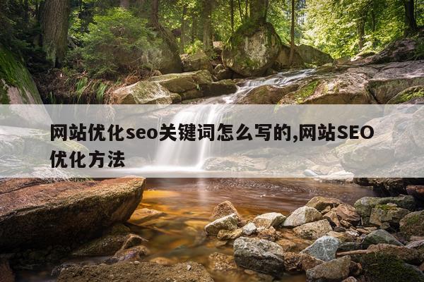 网站优化seo关键词怎么写的,网站SEO优化方法