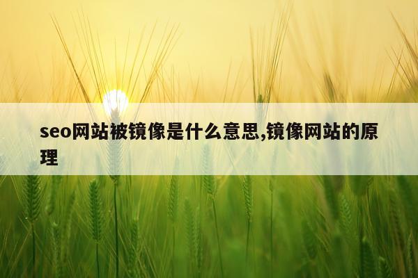 seo网站被镜像是什么意思,镜像网站的原理