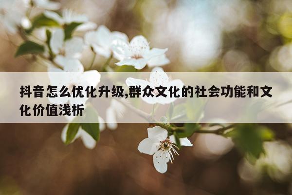 抖音怎么优化升级,群众文化的社会功能和文化价值浅析