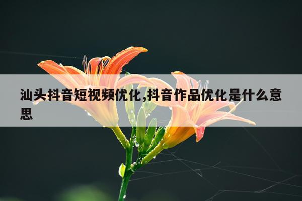 汕头抖音短视频优化,抖音作品优化是什么意思