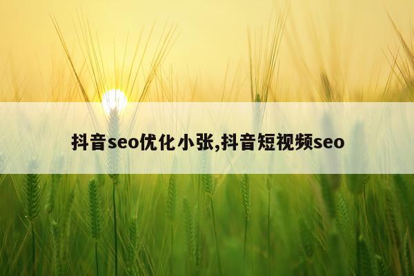 抖音seo优化小张,抖音短视频seo