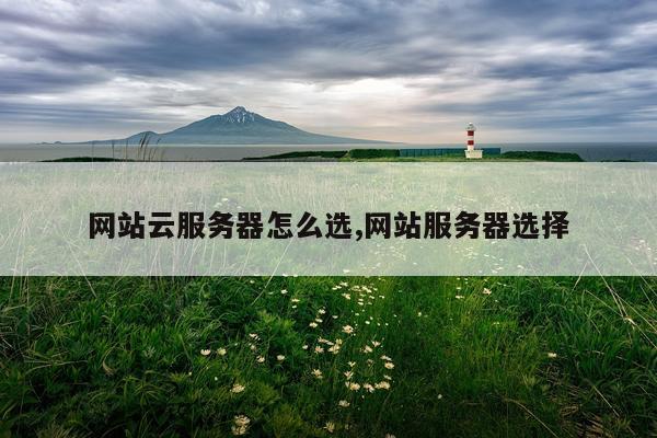 网站云服务器怎么选,网站服务器选择