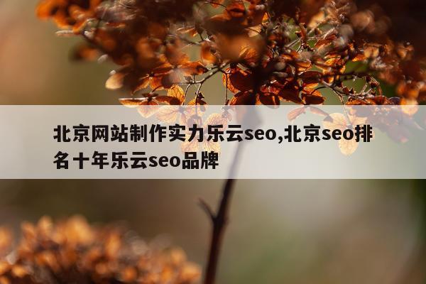 北京网站制作实力乐云seo,北京seo排名十年乐云seo品牌