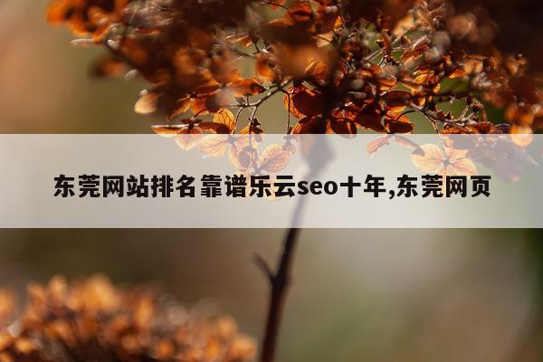 东莞网站排名靠谱乐云seo十年,东莞网页