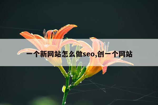 一个新网站怎么做seo,创一个网站