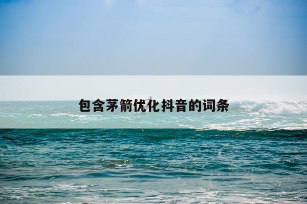 包含茅箭优化抖音的词条