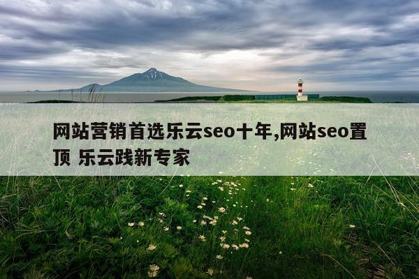 网站营销首选乐云seo十年,网站seo置顶 乐云践新专家