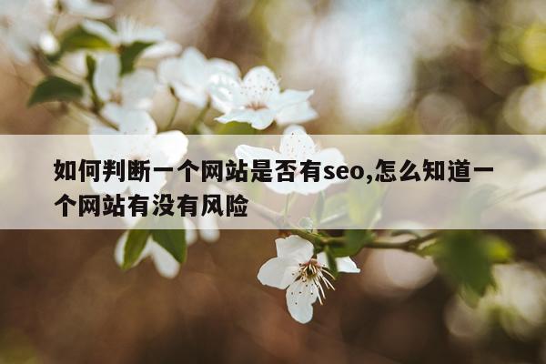 如何判断一个网站是否有seo,怎么知道一个网站有没有风险