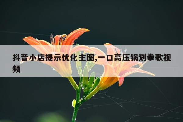 抖音小店提示优化主图,一口高压锅划拳歌视频