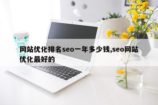 网站优化排名seo一年多少钱,seo网站优化最好的