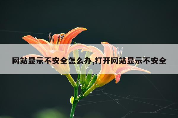 网站显示不安全怎么办,打开网站显示不安全