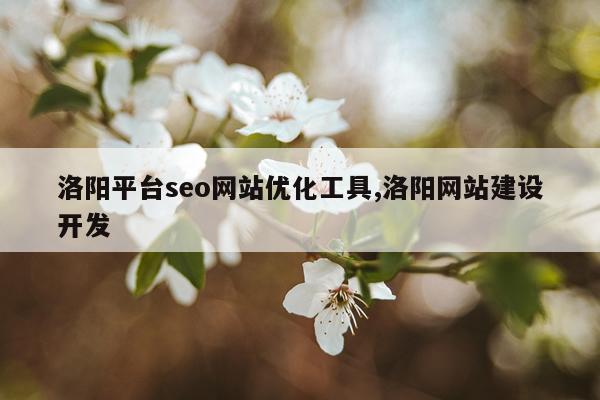 洛阳平台seo网站优化工具,洛阳网站建设开发
