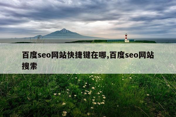 百度seo网站快捷键在哪,百度seo网站搜索