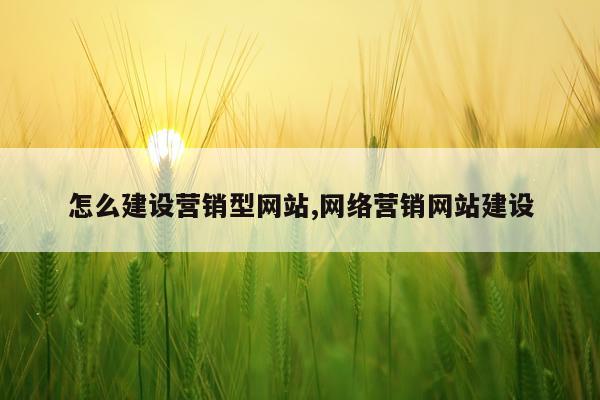 怎么建设营销型网站,网络营销网站建设