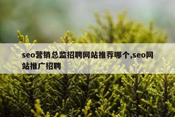 seo营销总监招聘网站推荐哪个,seo网站推广招聘