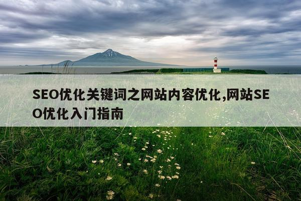 SEO优化关键词之网站内容优化,网站SEO优化入门指南