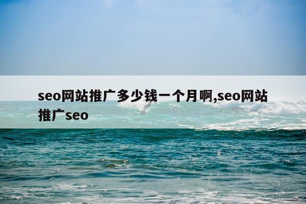 seo网站推广多少钱一个月啊,seo网站推广seo