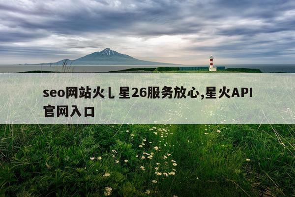 seo网站火乚星26服务放心,星火API官网入口