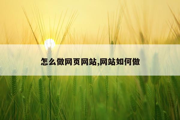 怎么做网页网站,网站如何做