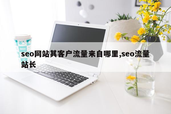 seo网站其客户流量来自哪里,seo流量站长