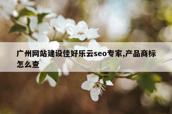 广州网站建设佳好乐云seo专家,产品商标怎么查