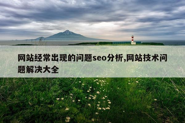 网站经常出现的问题seo分析,网站技术问题解决大全