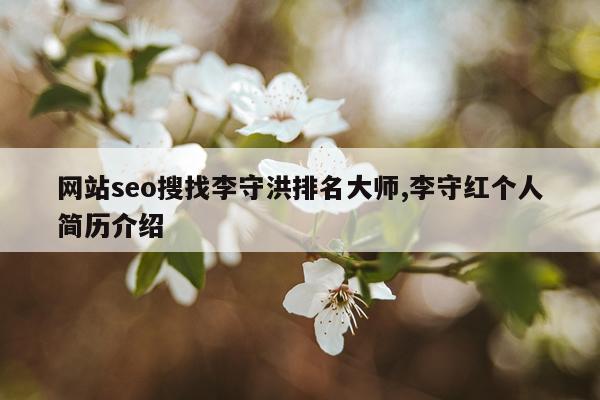 网站seo搜找李守洪排名大师,李守红个人简历介绍
