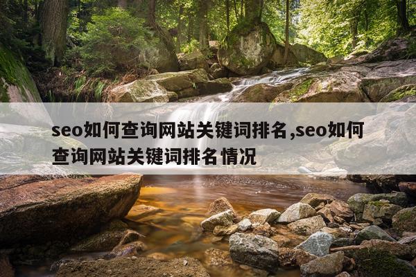 seo如何查询网站关键词排名,seo如何查询网站关键词排名情况