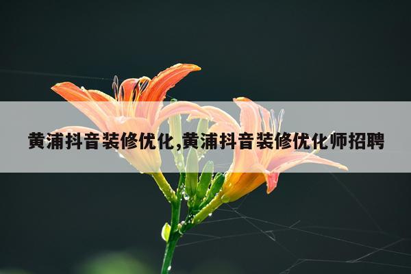 黄浦抖音装修优化,黄浦抖音装修优化师招聘