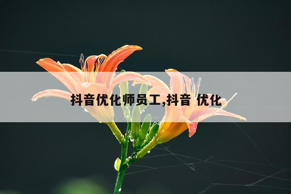 抖音优化师员工,抖音 优化