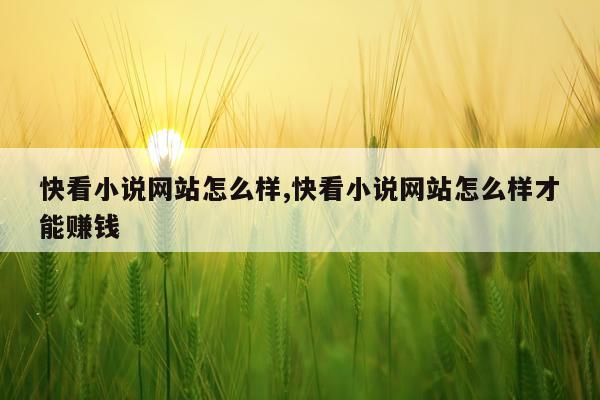 快看小说网站怎么样,快看小说网站怎么样才能赚钱